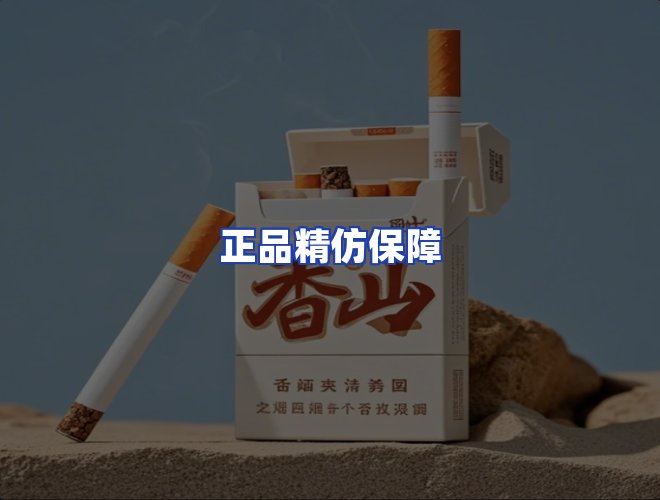 专业团队